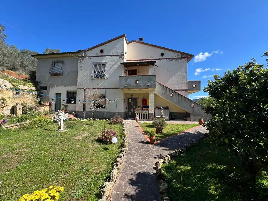 Immagine 9 di Casa indipendente in vendita  a Bibbona