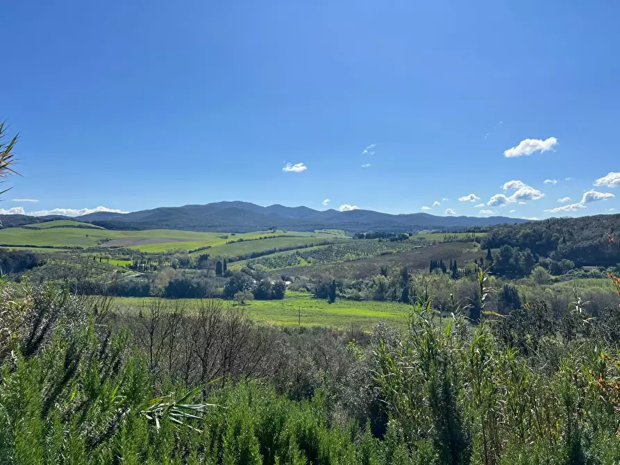 Immagine 31 di Casa indipendente in vendita  a Bibbona