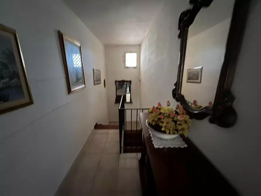 Immagine 19 di Casa indipendente in vendita  a Bibbona
