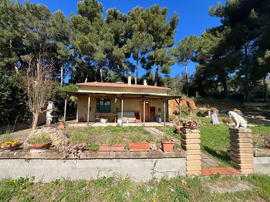 Immagine 5 di Casa indipendente in vendita  a Bibbona