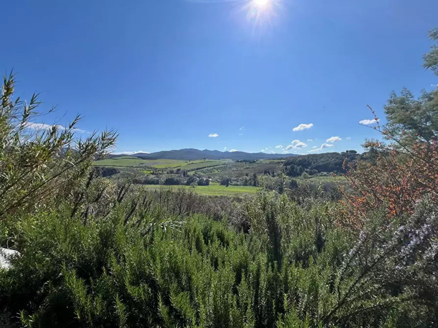 Immagine 33 di Casa indipendente in vendita  a Bibbona