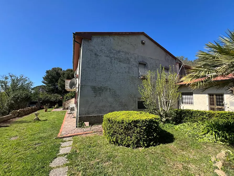 Immagine 8 di Casa indipendente in vendita  a Bibbona