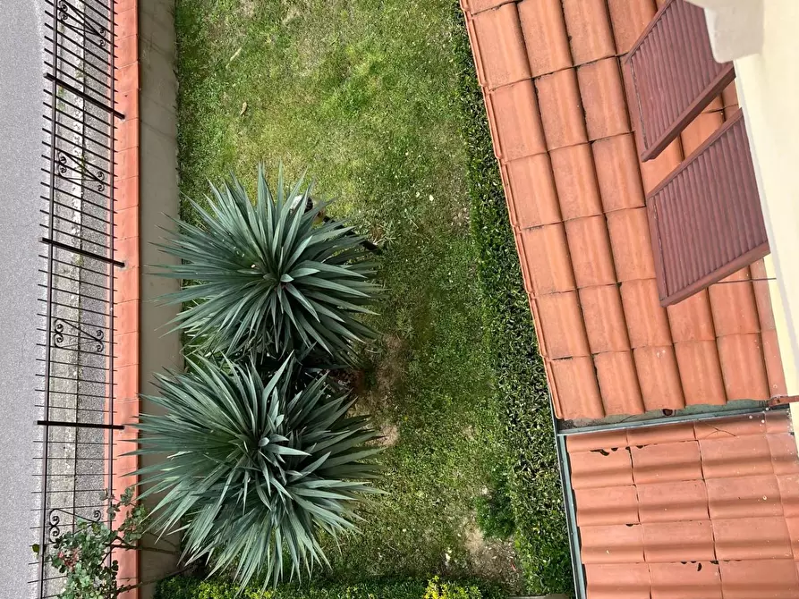 Immagine 11 di Appartamento in vendita  a Vinci