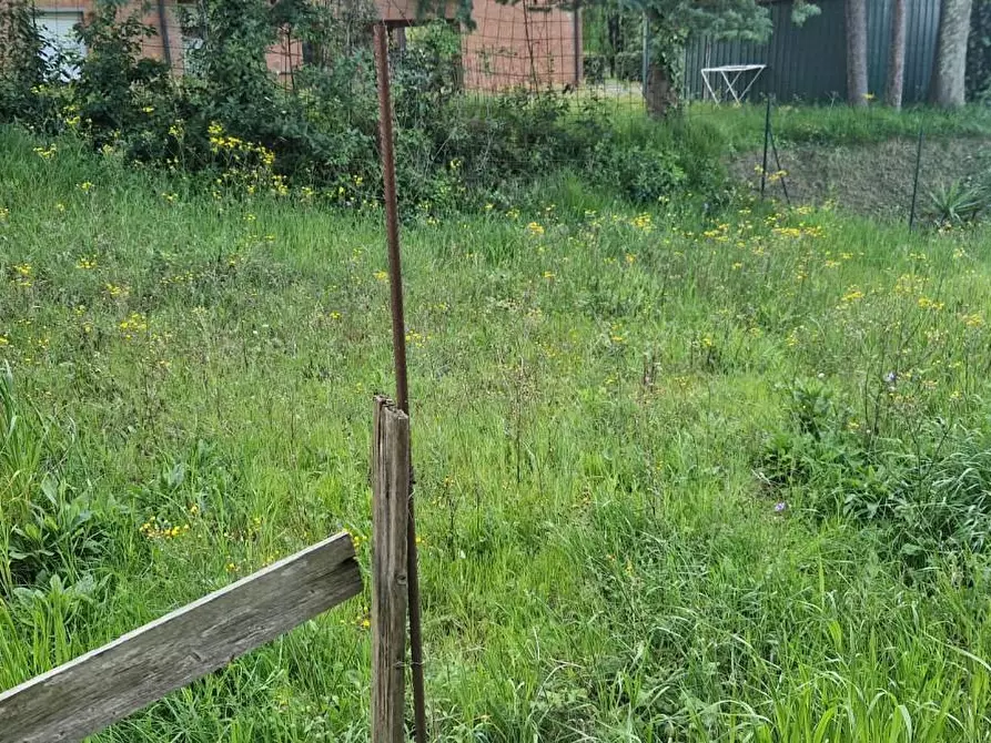 Immagine 7 di Appartamento in vendita  a Casciana Terme Lari