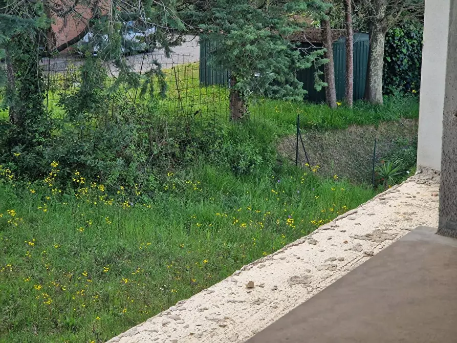 Immagine 34 di Appartamento in vendita  a Casciana Terme Lari