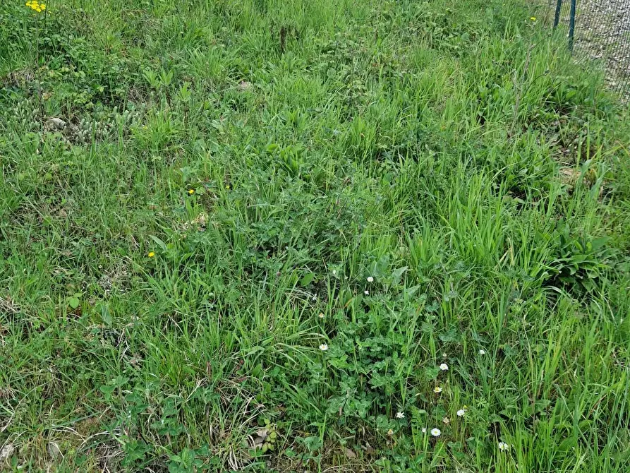 Immagine 26 di Appartamento in vendita  a Casciana Terme Lari