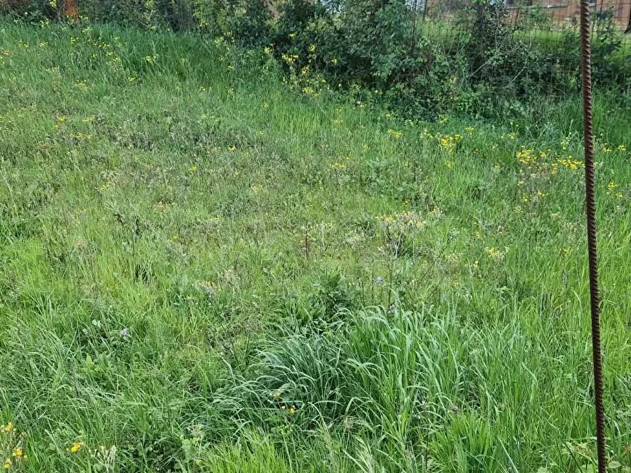 Immagine 35 di Appartamento in vendita  a Casciana Terme Lari