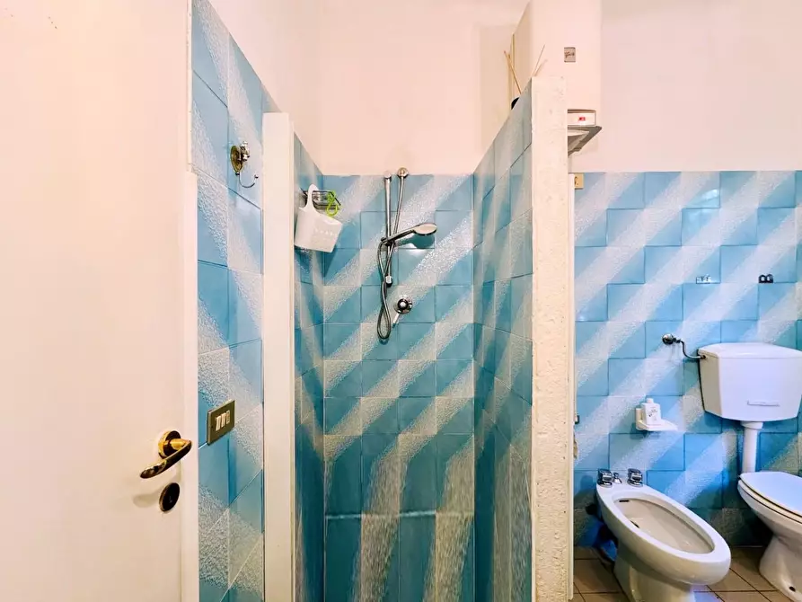 Immagine 22 di Casa indipendente in affitto  a Pietrasanta