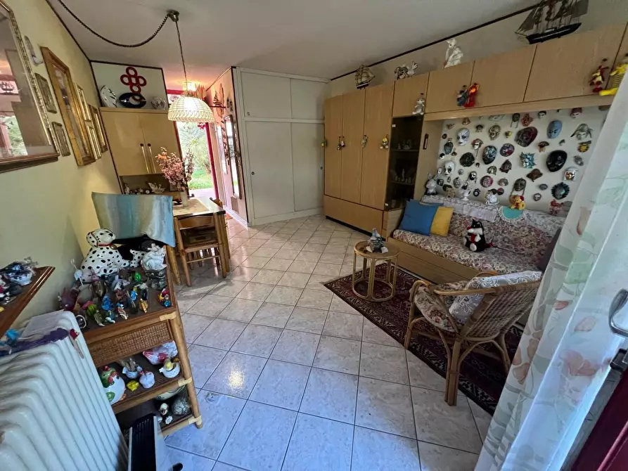 Immagine 12 di Appartamento in vendita  a Bibbona