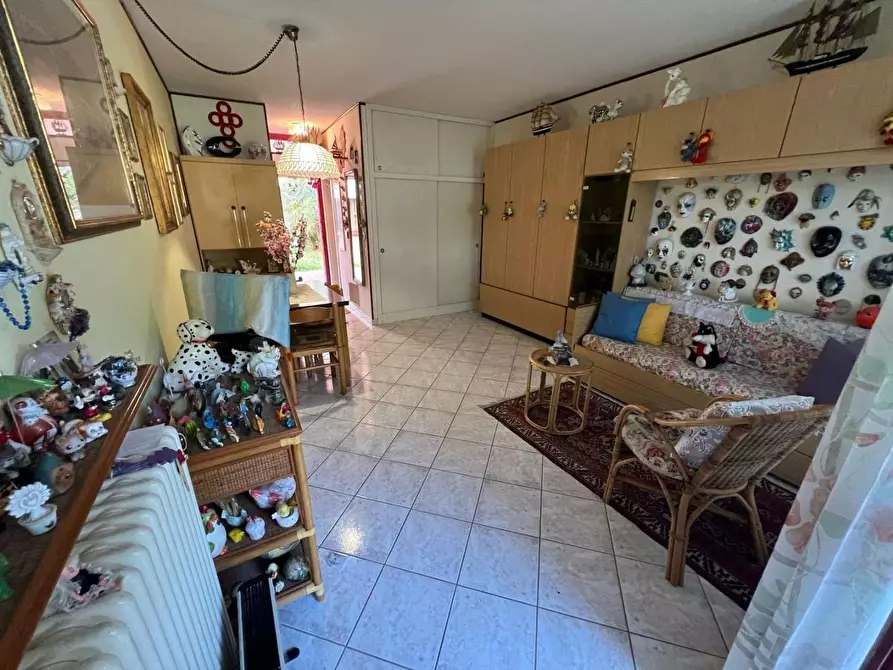 Immagine 10 di Appartamento in vendita  a Bibbona