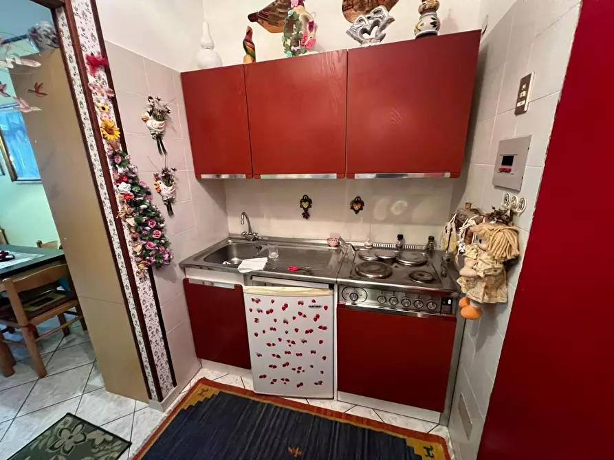 Immagine 6 di Appartamento in vendita  a Bibbona