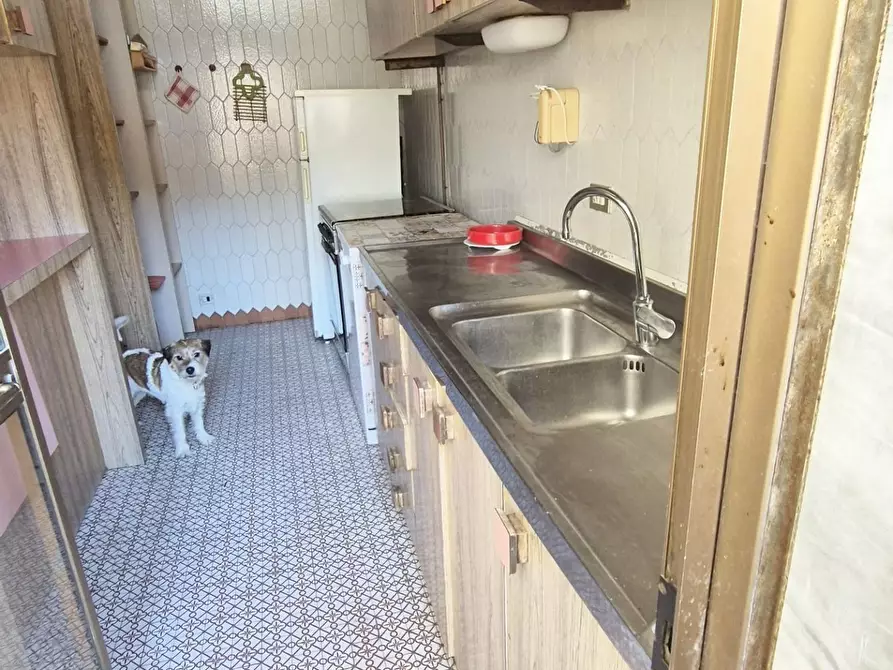 Immagine 31 di Appartamento in vendita  a Viareggio