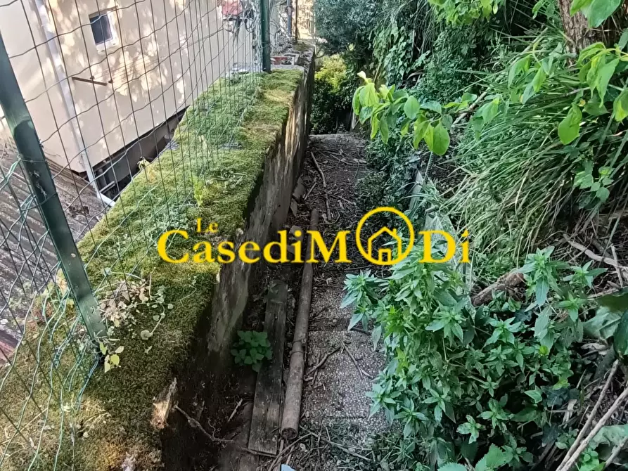 Immagine 35 di Rustico / casale in vendita  a Collesalvetti