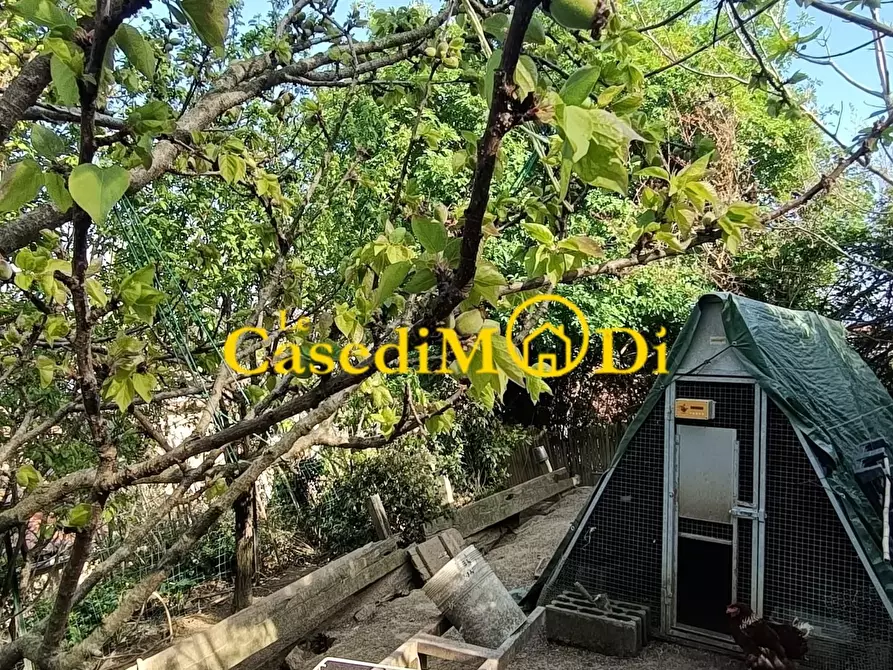 Immagine 37 di Rustico / casale in vendita  a Collesalvetti