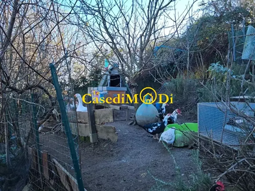 Immagine 27 di Rustico / casale in vendita  a Collesalvetti