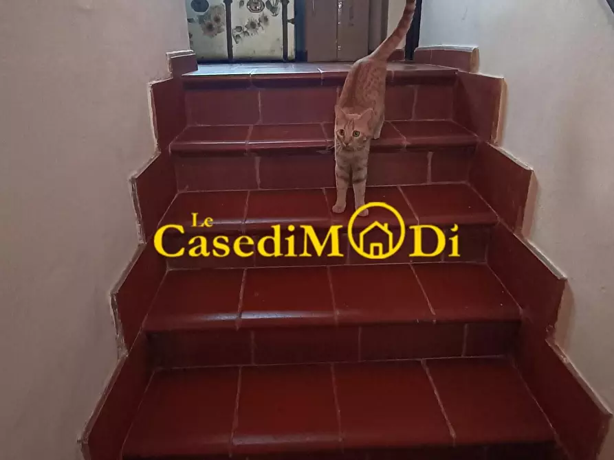 Immagine 10 di Rustico / casale in vendita  a Collesalvetti