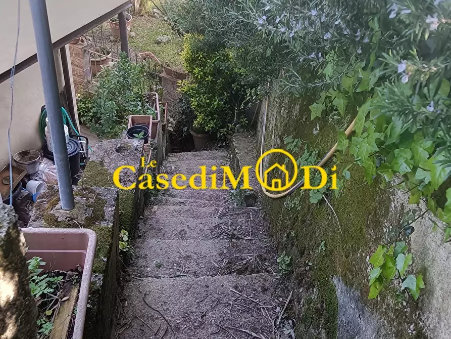 Immagine 36 di Rustico / casale in vendita  a Collesalvetti