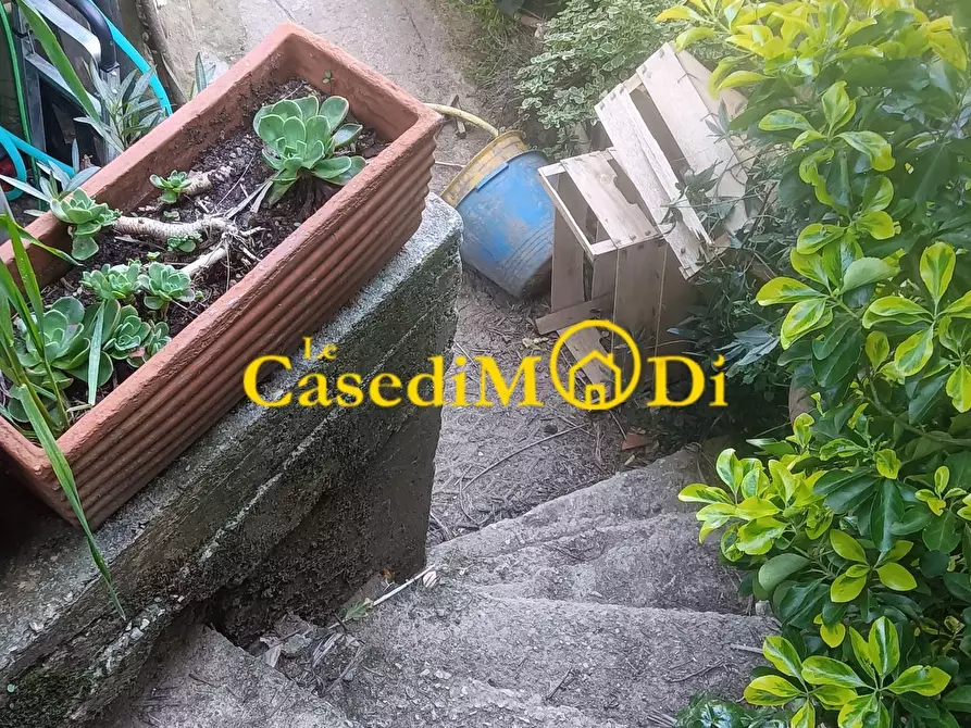 Immagine 39 di Rustico / casale in vendita  a Collesalvetti