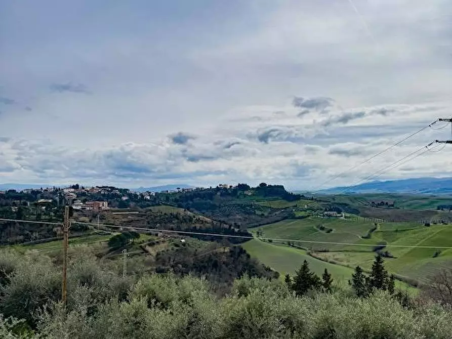 Immagine 15 di Casa indipendente in vendita  a Terricciola