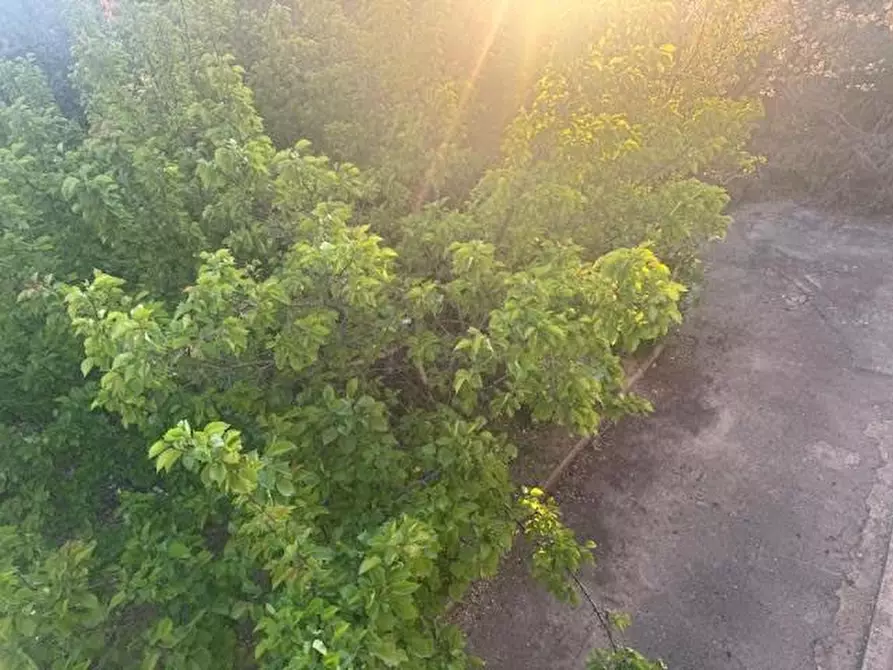 Immagine 17 di Appartamento in vendita  a Calci