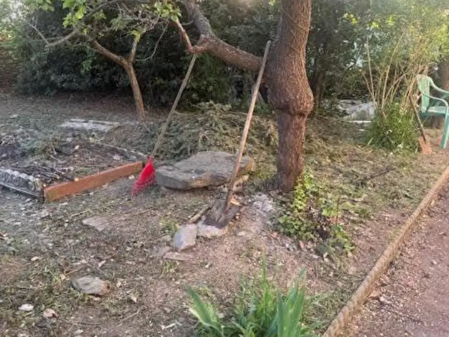 Immagine 3 di Appartamento in vendita  a Calci