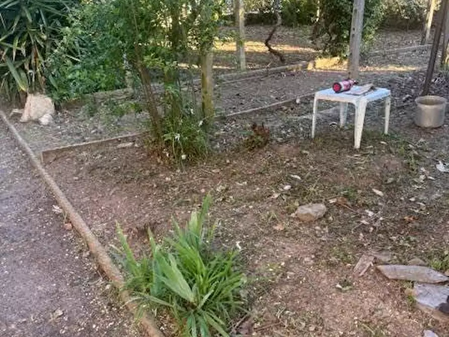 Immagine 15 di Appartamento in vendita  a Calci