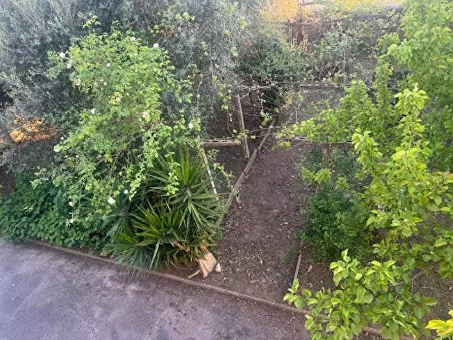 Immagine 16 di Appartamento in vendita  a Calci