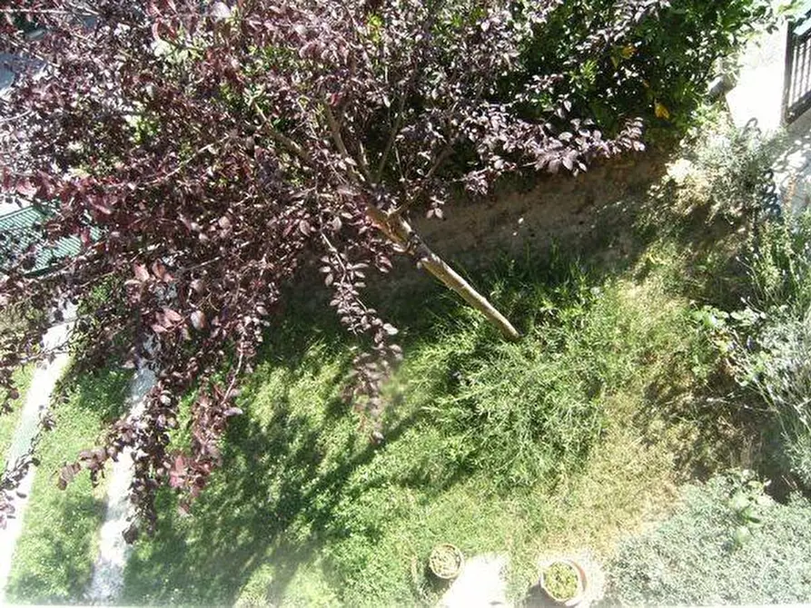 Immagine 38 di Casa bifamiliare in vendita  a Vecchiano