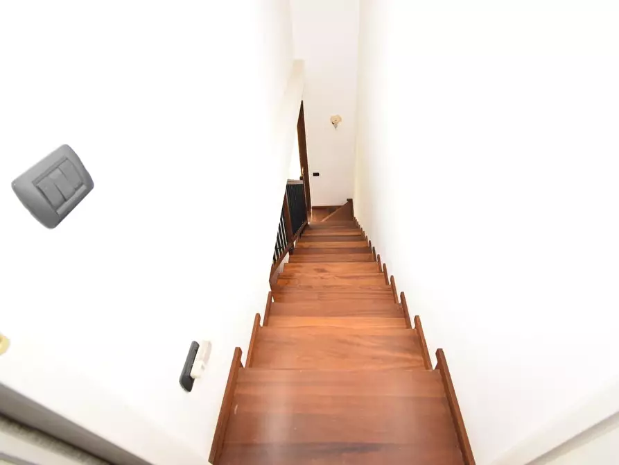 Immagine 28 di Casa bifamiliare in vendita  a Vecchiano