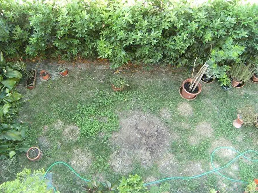 Immagine 36 di Casa bifamiliare in vendita  a Vecchiano