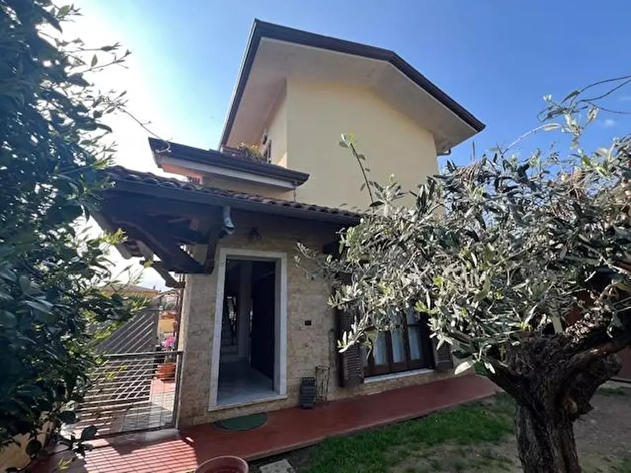 Immagine 21 di Villa in vendita  a Massa