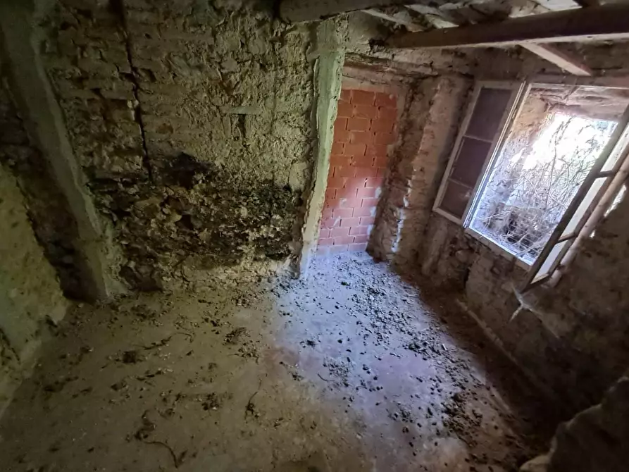 Immagine 7 di Appartamento in vendita  a Buti