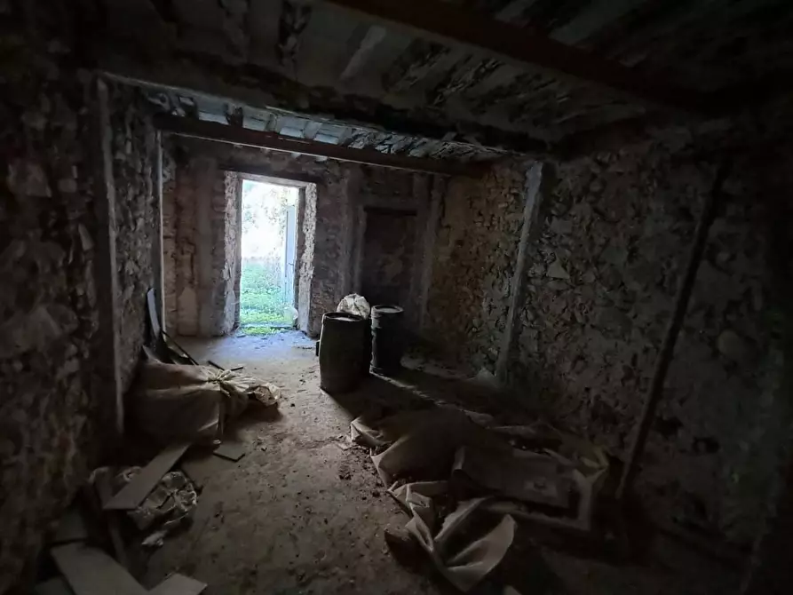 Immagine 5 di Appartamento in vendita  a Buti