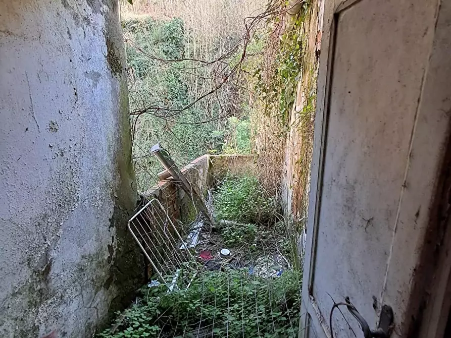 Immagine 6 di Appartamento in vendita  a Buti