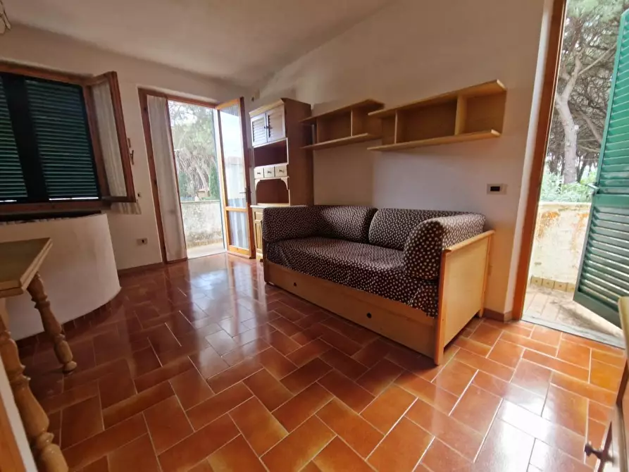 Immagine 15 di Casa trifamiliare in vendita  a Rosignano Marittimo