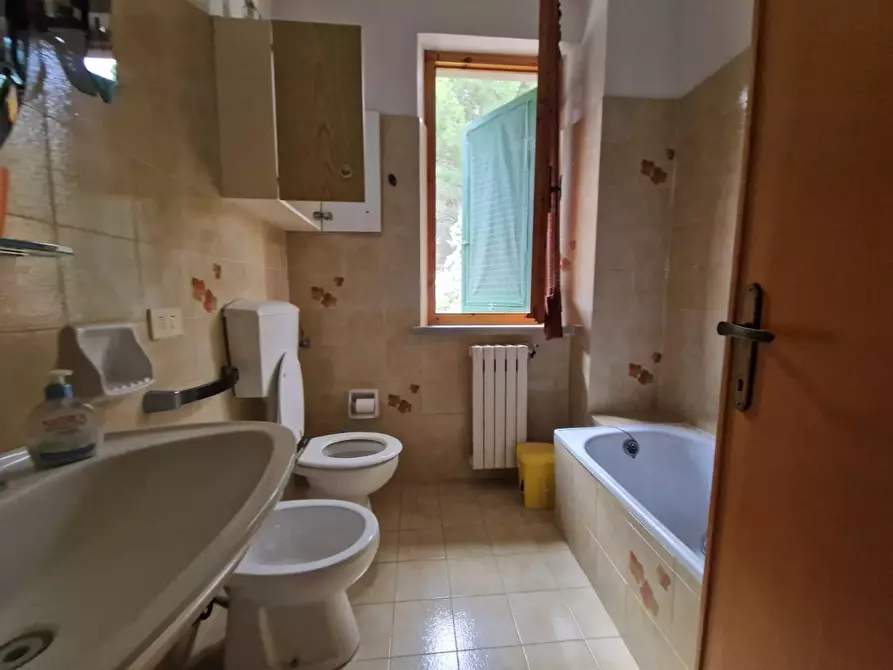 Immagine 11 di Casa trifamiliare in vendita  a Rosignano Marittimo