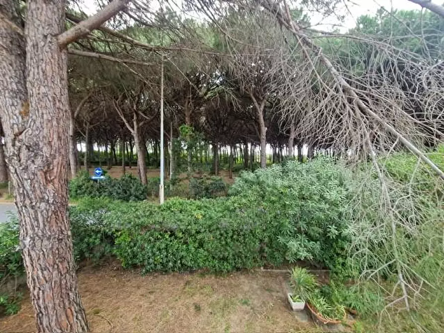 Immagine 8 di Casa trifamiliare in vendita  a Rosignano Marittimo