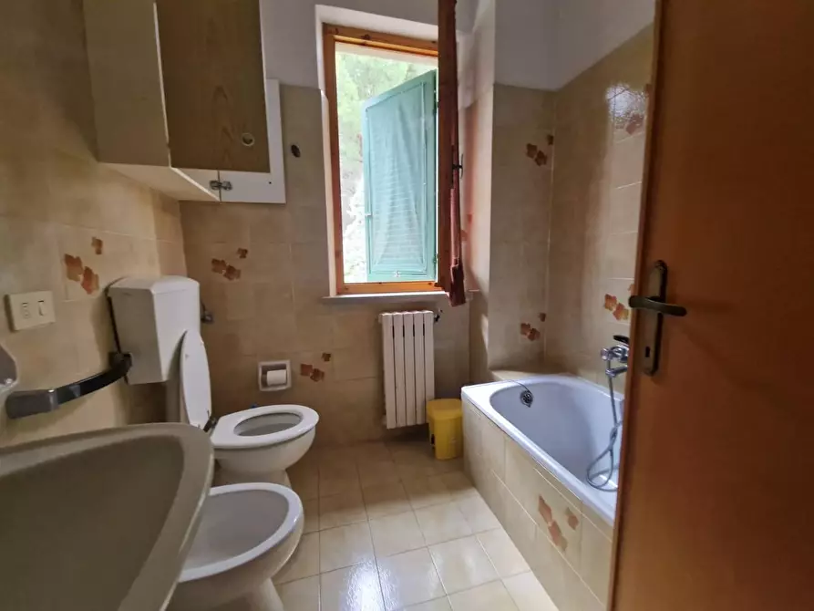 Immagine 10 di Casa trifamiliare in vendita  a Rosignano Marittimo