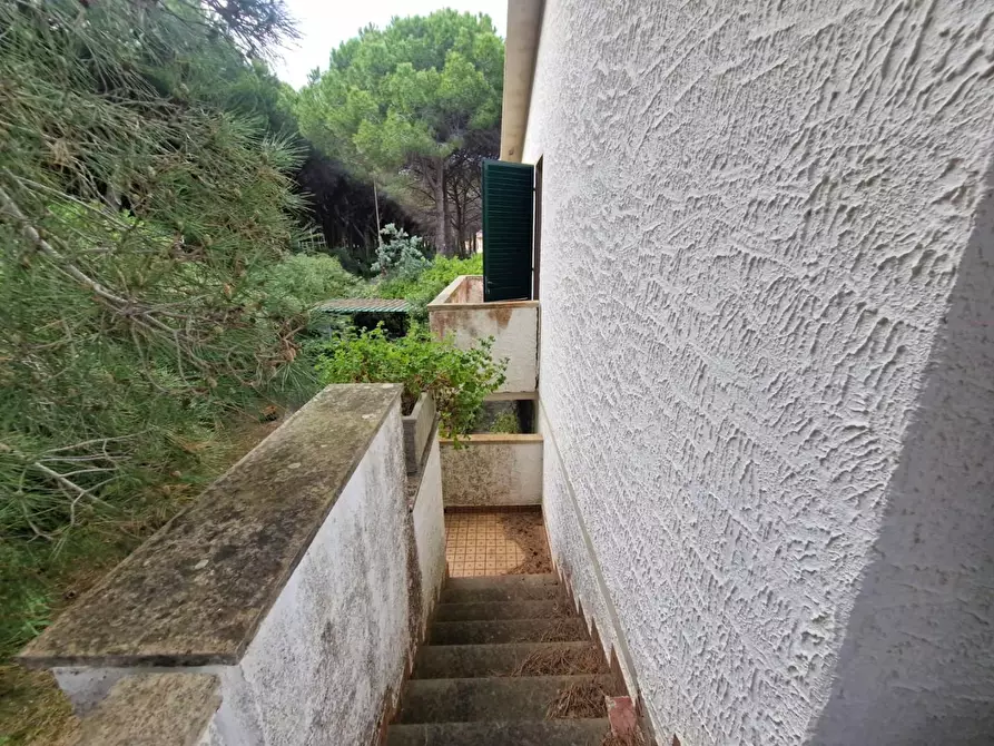 Immagine 5 di Casa trifamiliare in vendita  a Rosignano Marittimo