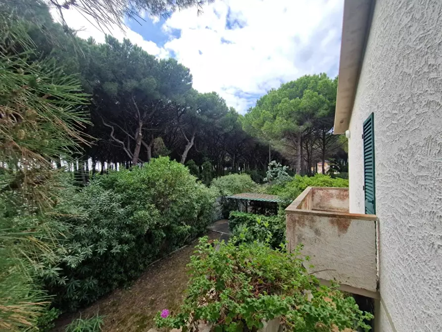 Immagine 3 di Casa trifamiliare in vendita  a Rosignano Marittimo