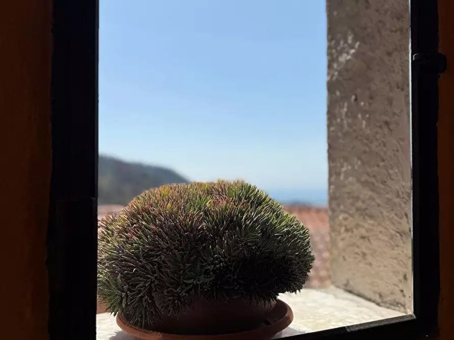 Immagine 3 di Terratetto in vendita  a Massa