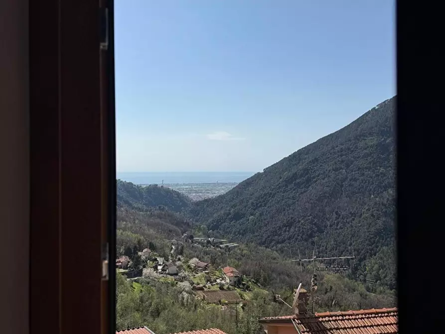 Immagine 11 di Terratetto in vendita  a Massa