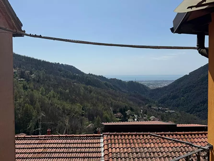 Immagine 21 di Terratetto in vendita  a Massa