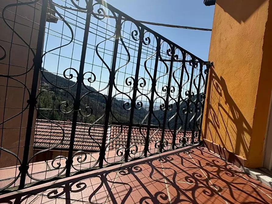 Immagine 20 di Terratetto in vendita  a Massa