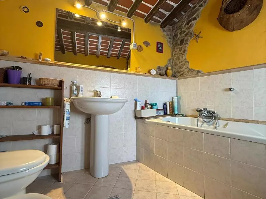 Immagine 14 di Terratetto in vendita  a Massa