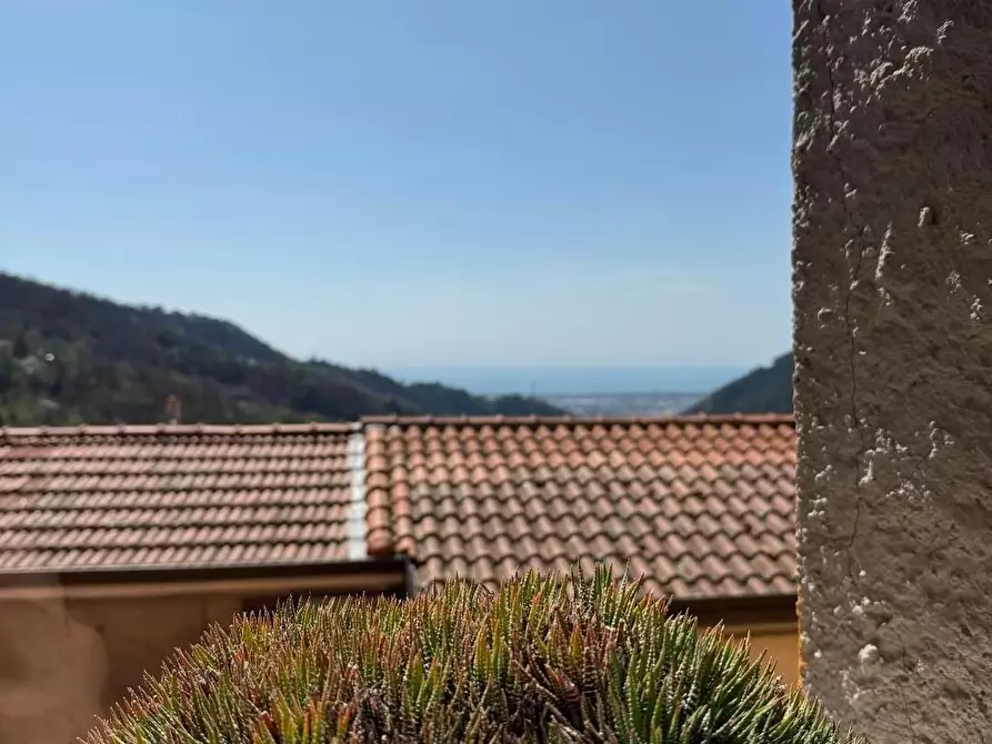 Immagine 1 di Terratetto in vendita  a Massa