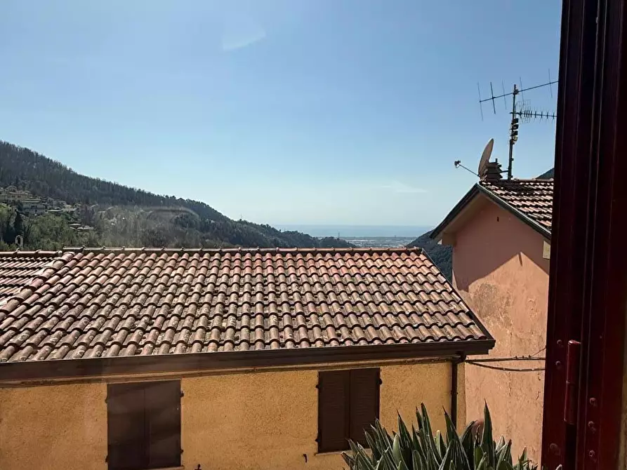 Immagine 9 di Terratetto in vendita  a Massa