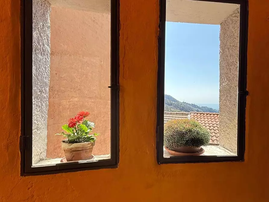 Immagine 2 di Terratetto in vendita  a Massa