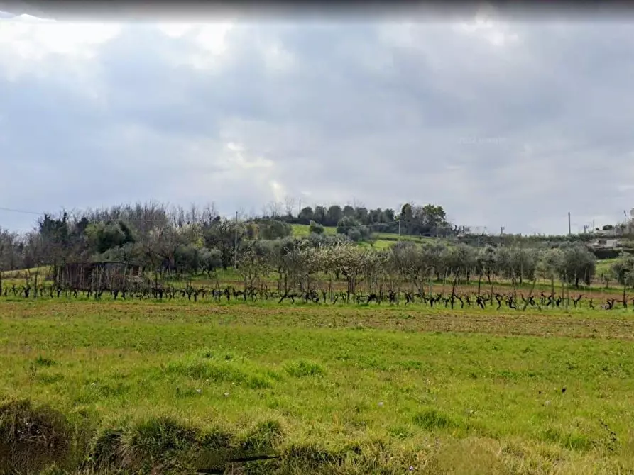 Immagine 1 di Terreno residenziale in vendita  a Casciana Terme Lari