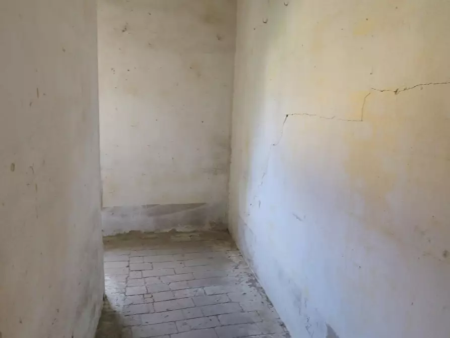 Immagine 3 di Immobile di prestigio in vendita  a Vicopisano